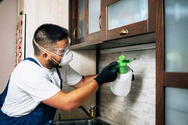 Best Pest Control Near Me  in Sweet Home, OR