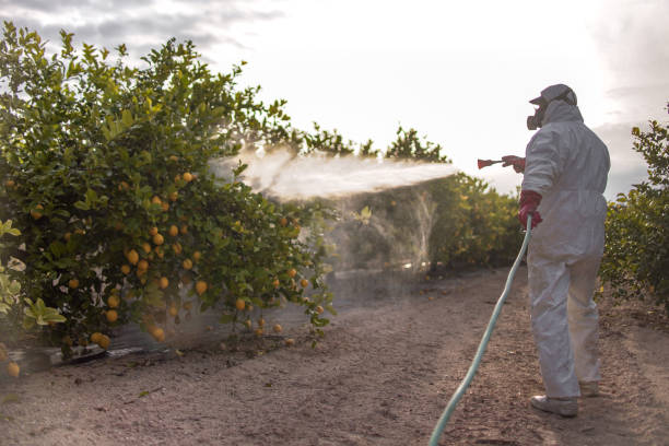 Best Local Pest Control Services  in Sweet Home, OR