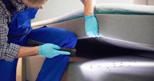 Best Pest Removal Services  in Sweet Home, OR