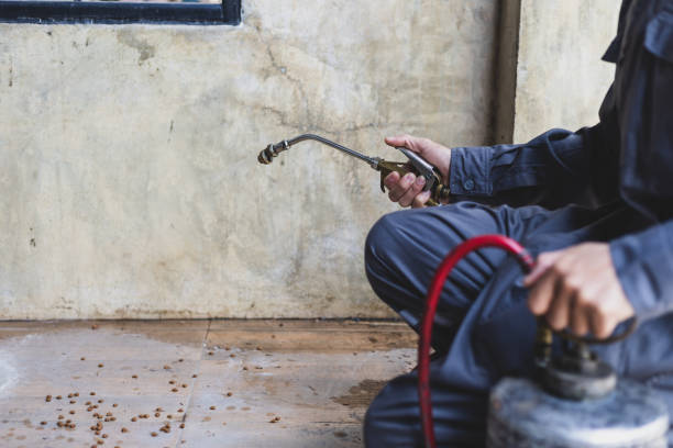 Best Affordable Pest Control Services  in Sweet Home, OR